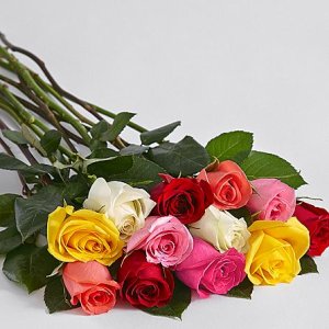 画像2: 12 Long Stemmed Rainbow Valentine's Day Roses