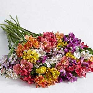 画像2: 100 Blooms of Peruvian Lilies with 6 Fancy Strawberries