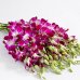 画像2: Purple Dendrobium Orchids (2)