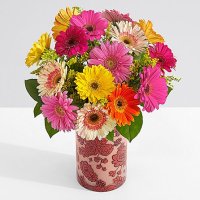 Colorful Gerbera Daisies