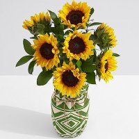 Sunflower Radiance