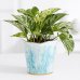 画像1: White Marble Pothos – Shelfie Plant (1)