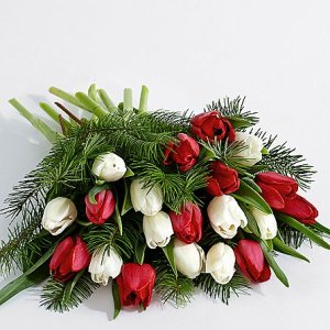 画像2: 20 Christmas Tulips with Fresh Douglas Fir