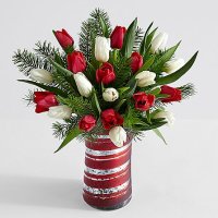 20 Christmas Tulips with Fresh Douglas Fir