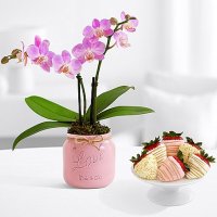 Mason Jar Mini Orchid with 6 Pink Champagne Berries