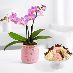 画像1: Mason Jar Mini Orchid with 6 Pink Champagne Berries