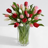 30 Sweetheart Tulips