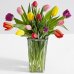 画像1: 15 Multi-Colored Tulips (1)