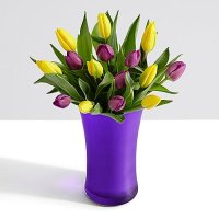 15 Easter Tulips