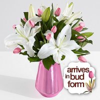 Spring Tulips and Lilies