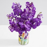 Purple Vanda Orchids