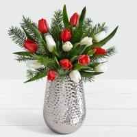 15 Christmas Tulips with Fresh Douglas Fir