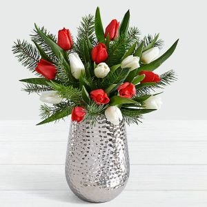 画像1: 15 Christmas Tulips with Fresh Douglas Fir