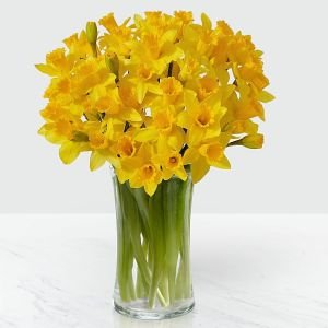 画像1: Striking Gold Daffodil Bouquet with Vase
