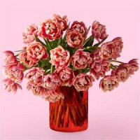 Blushing Columbus Tulips with Red Vase(30 Tulips with Red Vase)