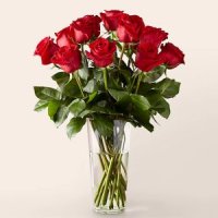 One Dozen Long Stemmed Red Roses