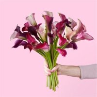 Loveberry Swirl Bouquet(30 Mini Calla Lilies)