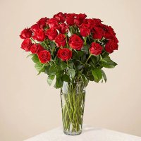 Three Dozen Long Stemmed Red Roses