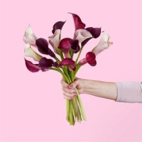Loveberry Swirl Bouquet(15 Mini Calla Lilies)