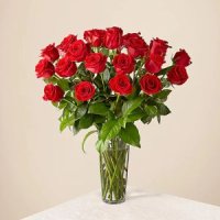 Two Dozen Long Stemmed Red Roses