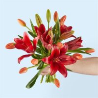 The Foxtrot Bouquet