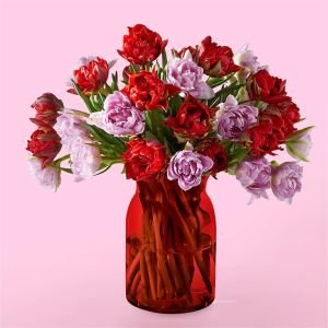 画像1: First Kiss Tulips(30 Tulips with Red Vase)