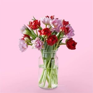 画像1: First Kiss Tulips(15 Tulips with Vase)