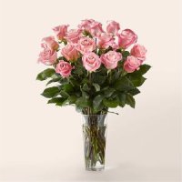 Long Stem Pink Rose Bouquet(PREMIUM)