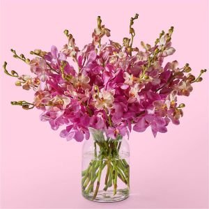 画像1: Falling for You Orchids(10 Orchids with Vase)