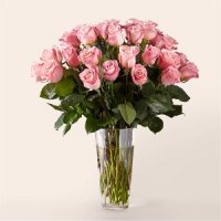 Long Stem Pink Rose Bouquet(EXQUISITE)