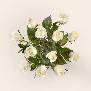 画像3: Moonlight White Rose Bouquet (12 White Roses  with Vase)
