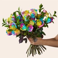 Rainbow Rose Bouquet (24 Roses No Vase)