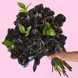 画像1: Black Roses Bouquet(24 Black Roses No Vase)