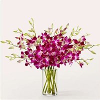 Positively Purple Orchid Bouquet(Standard with Vase)
