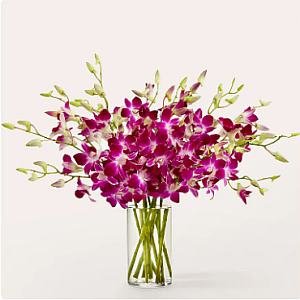 画像1: Positively Purple Orchid Bouquet(Standard with Vase)