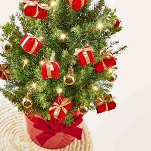 画像2: Wrapped in Holiday Cheer Mini Tree