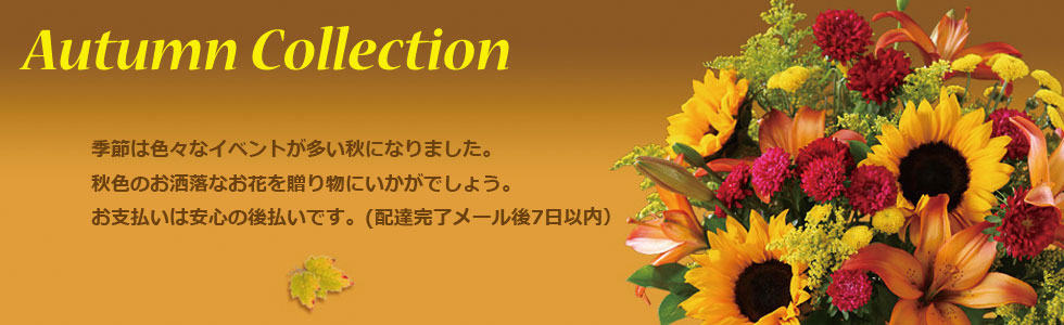 連続的 節約する 口 花 を 贈る 宅配 誇張する 虫を数える 宇宙 連続的 節約する 口 花 を 贈る 宅配 誇張する 虫を数える 宇宙