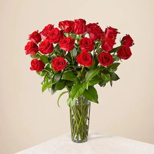 Two Dozen Long Stemmed Red Roses