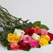 画像2: 12 Long Stemmed Rainbow Valentine's Day Roses (2)