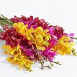 画像2: Mokara Orchids with Ruby Vase (2)