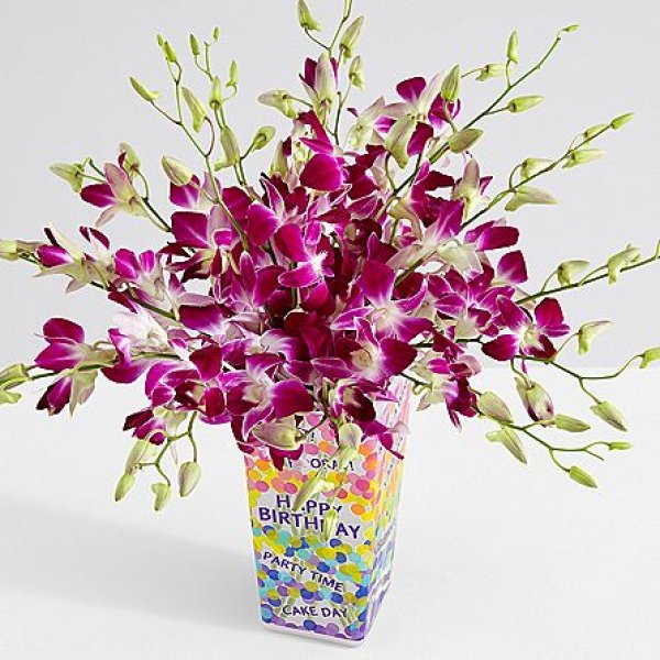 画像1: Purple Dendrobium Orchids (1)