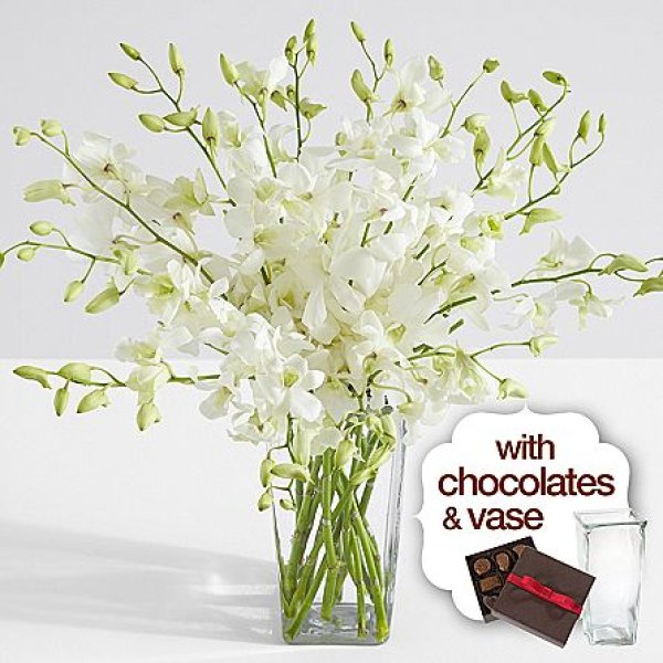 画像1: White Dendrobium Orchids with Square Vase & Chocolates (1)