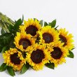 画像2: Sunflower Radiance (2)