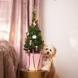 画像4: Nutcracker Holiday Spruce Tree (4)