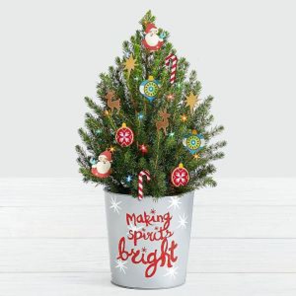 画像1: Santa's Workshop Spruce Tree (1)