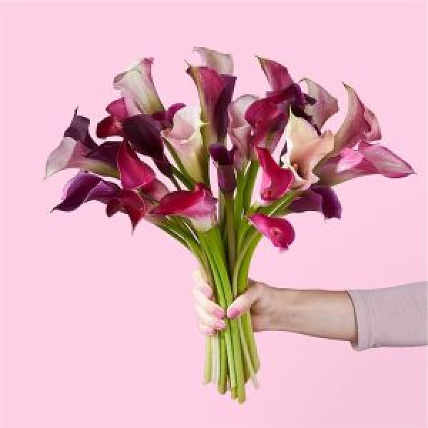 画像1: Loveberry Swirl Bouquet(30 Mini Calla Lilies) (1)