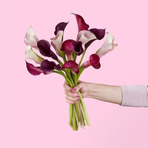 画像1: Loveberry Swirl Bouquet(15 Mini Calla Lilies) (1)
