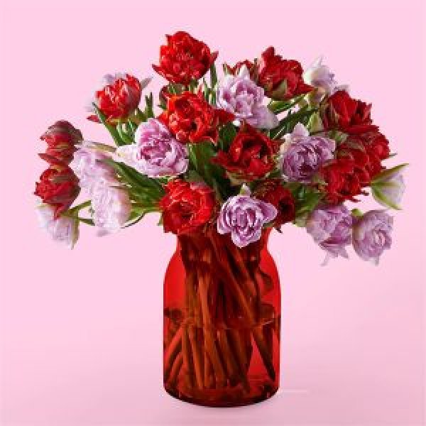 画像1: First Kiss Tulips(30 Tulips with Red Vase) (1)