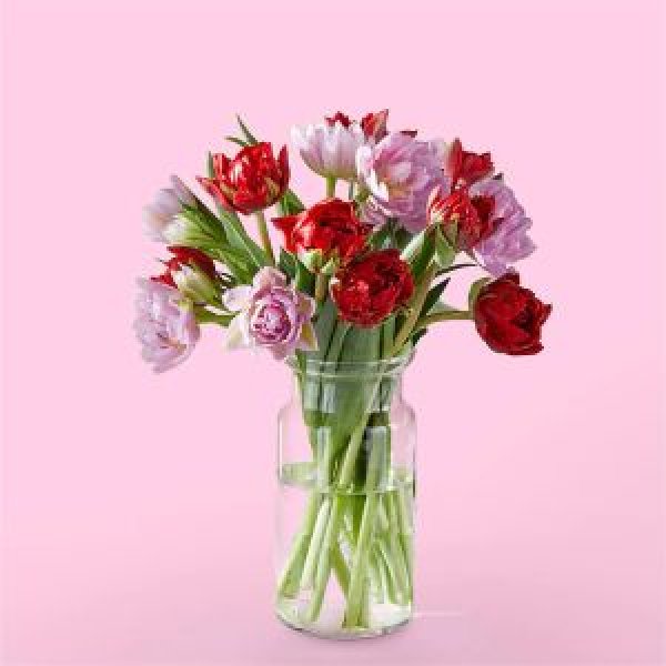 画像1: First Kiss Tulips(15 Tulips with Vase) (1)