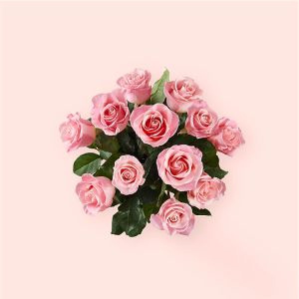 画像2: Long Stem Pink Rose Bouquet(STANDARD) (2)